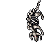 bonebeast